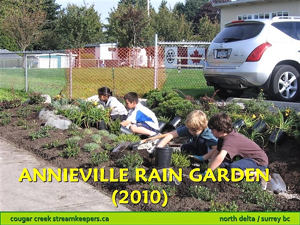 Annieville Rain Garden