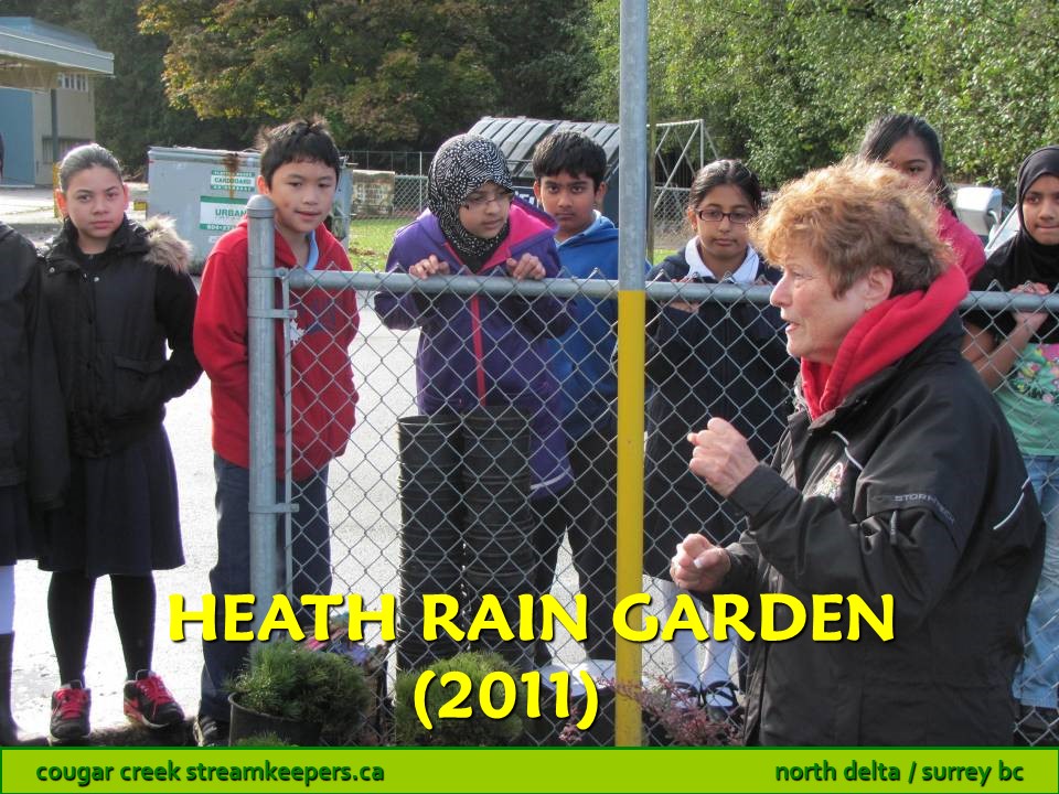 Heath Rain Garden