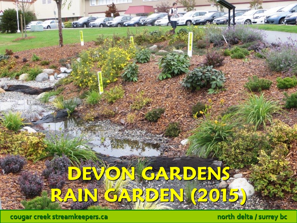 Devon Gardens Rain Garden