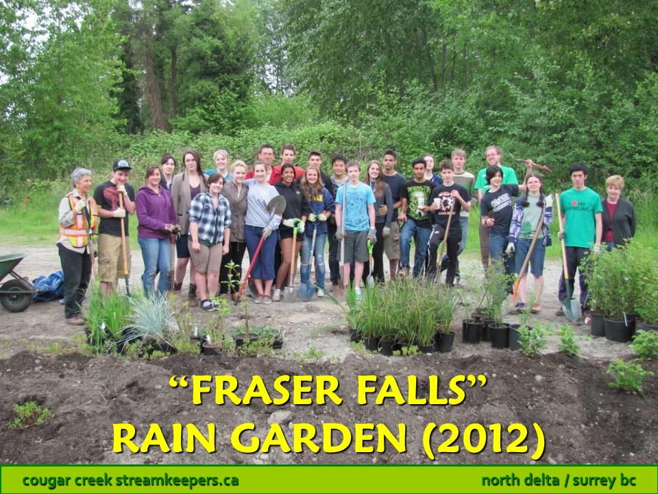 Fraser Falls Rain Garden