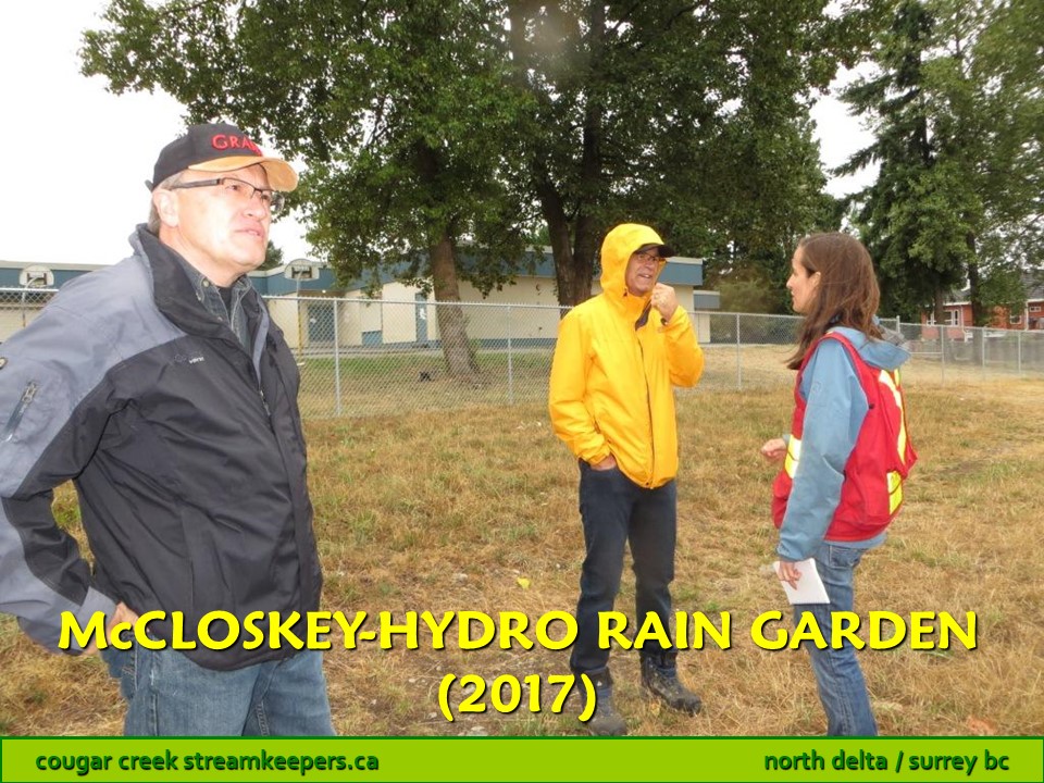 McCloskey-Hydro Rain Garden