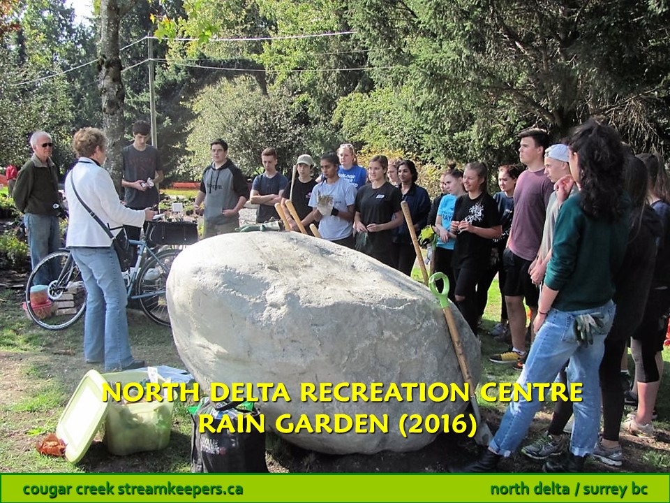 North Delta Recreation Centre Rain Garden