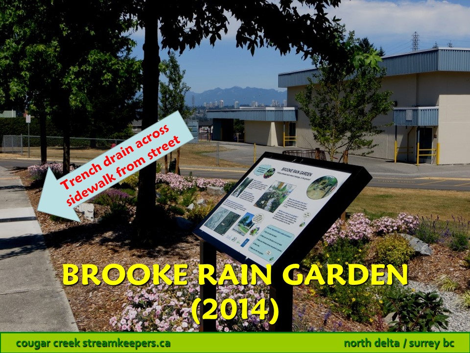 Brooke Rain Garden