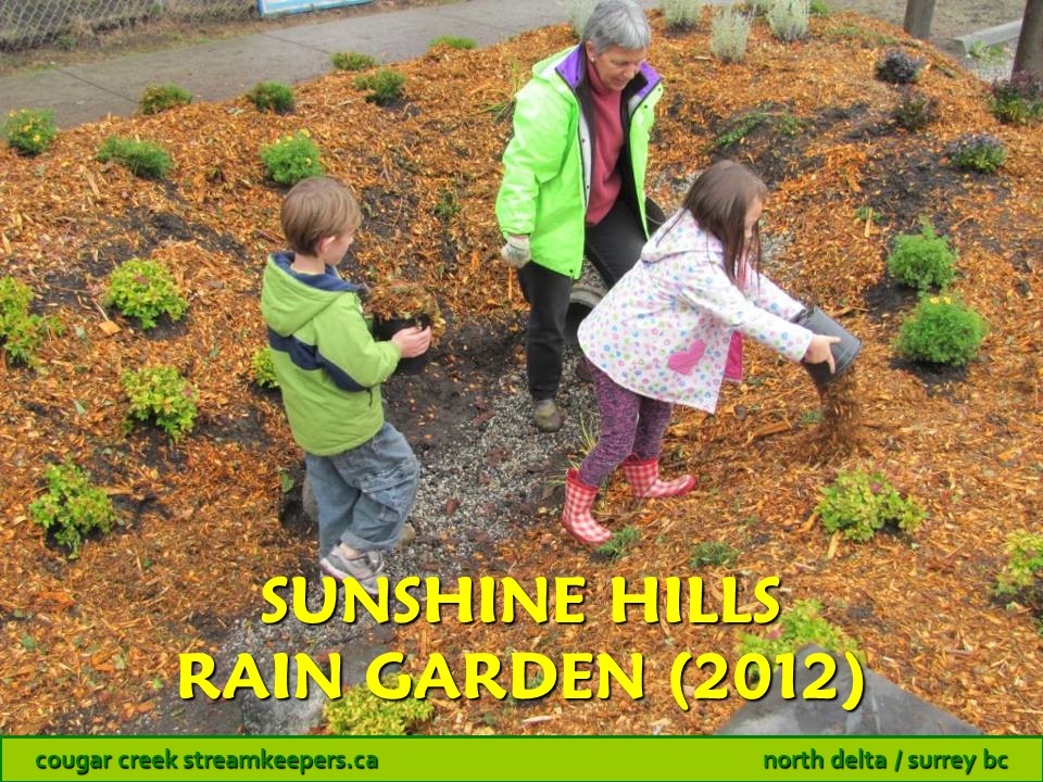 Sunshine Hills Rain Garden