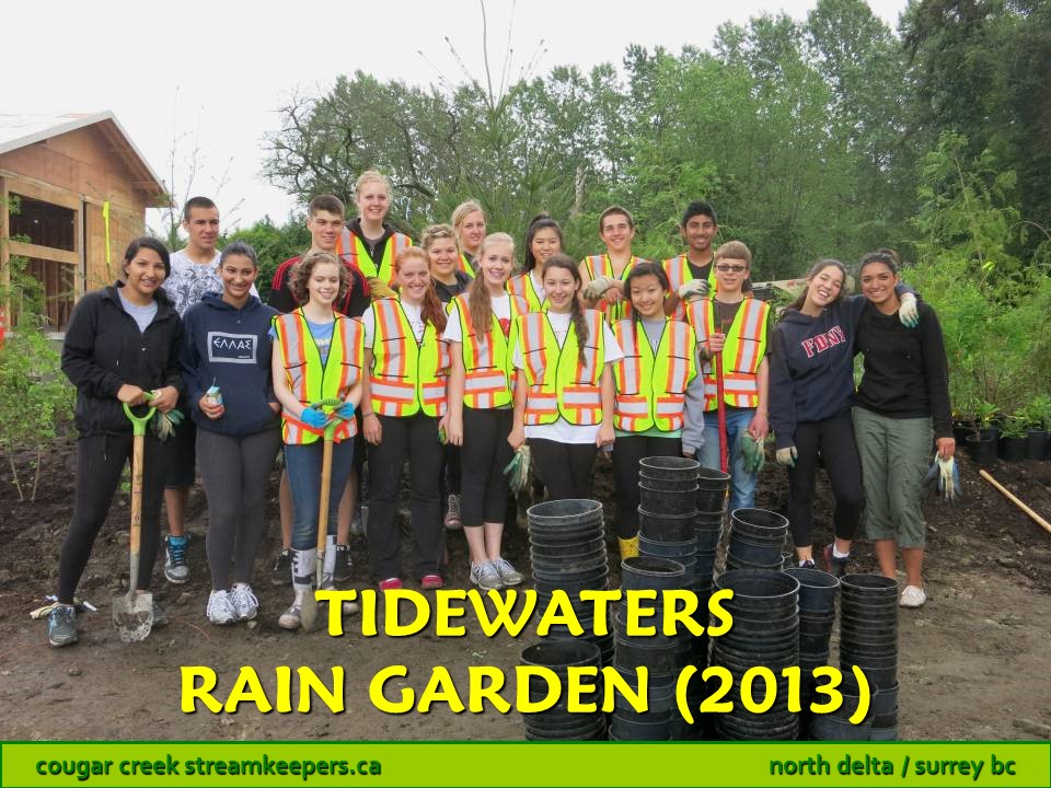 Tidewaters Rain Garden