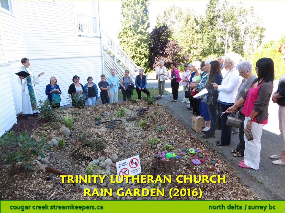 Trinity Lutheran Church Rain Garden