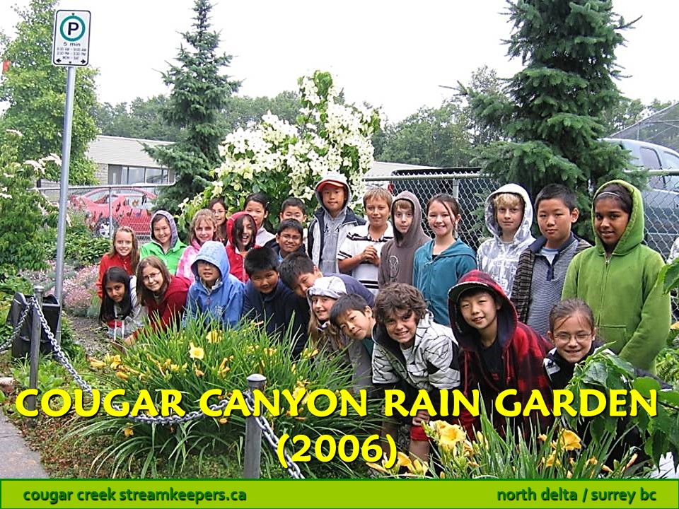 Cougar Canyon Rain Garden