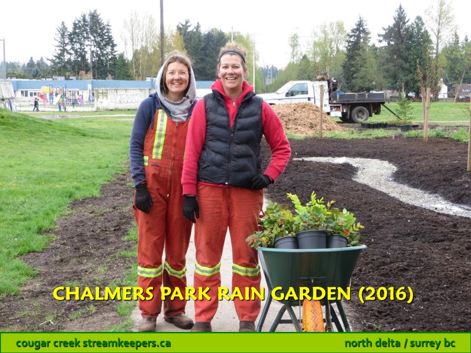 Chalmers Park Rain Garden