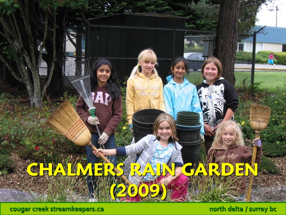 Chalmers Rain Garden