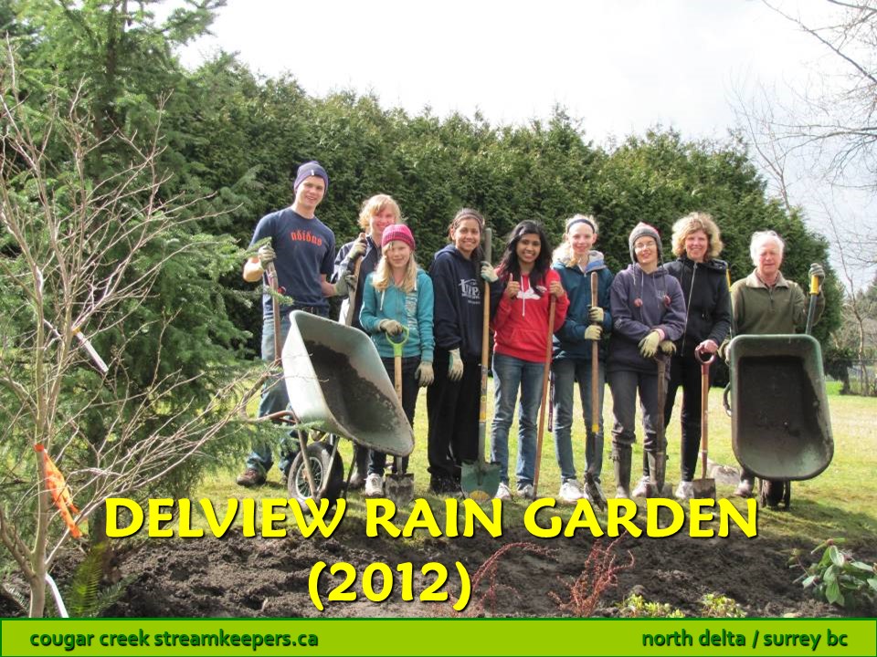 Delview Rain Garden