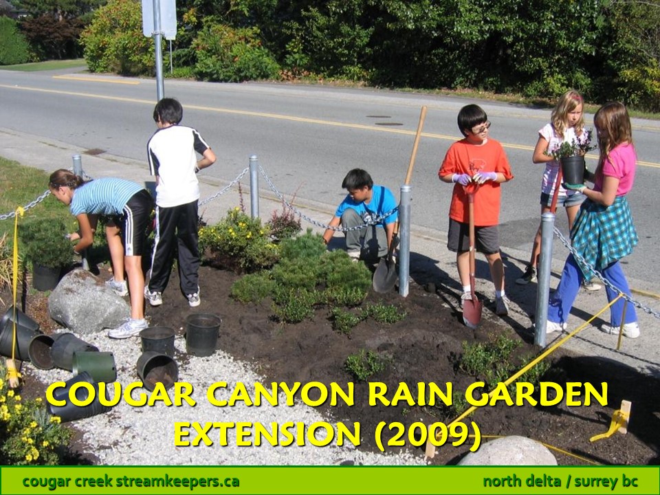 Cougar Canyon Rain Garden Extension