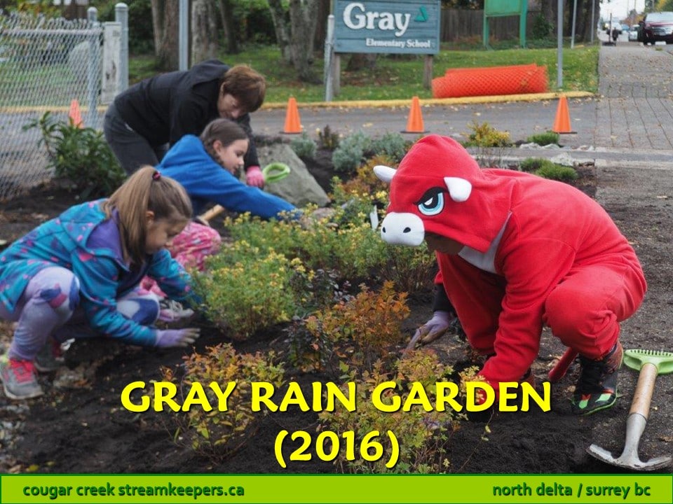 Gray Rain Garden