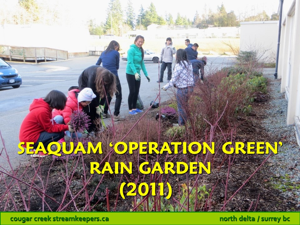 Seaquam Rain Garden
