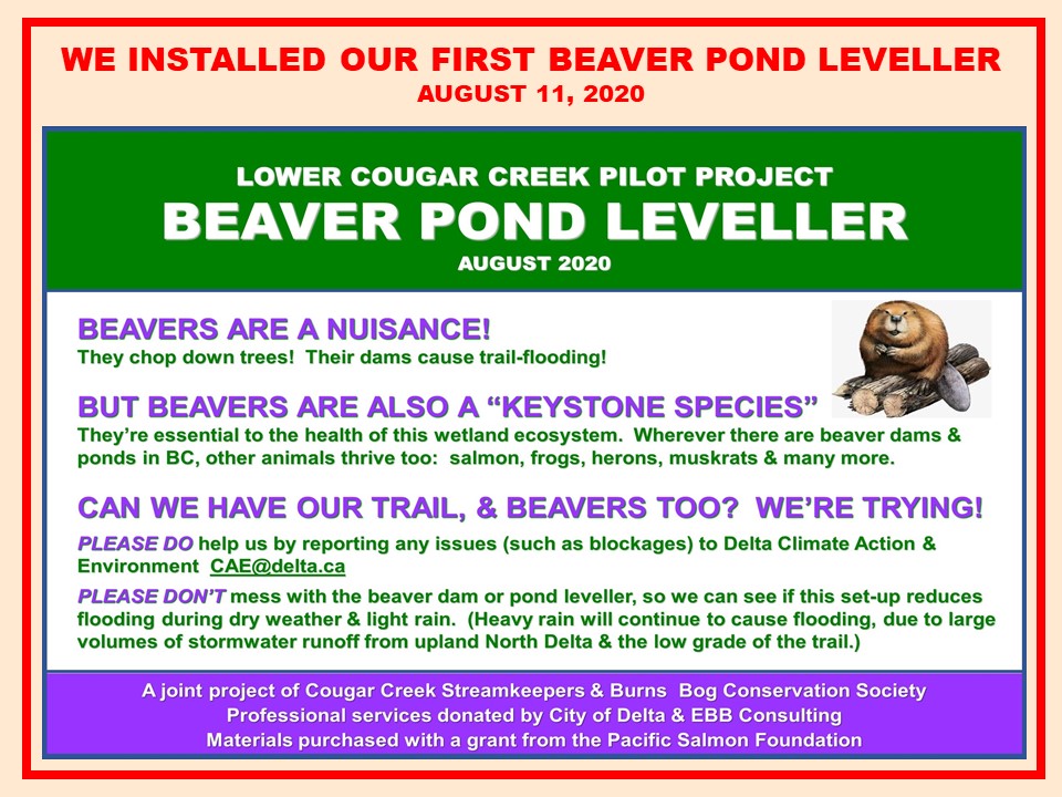 Beaver pond leveller installation