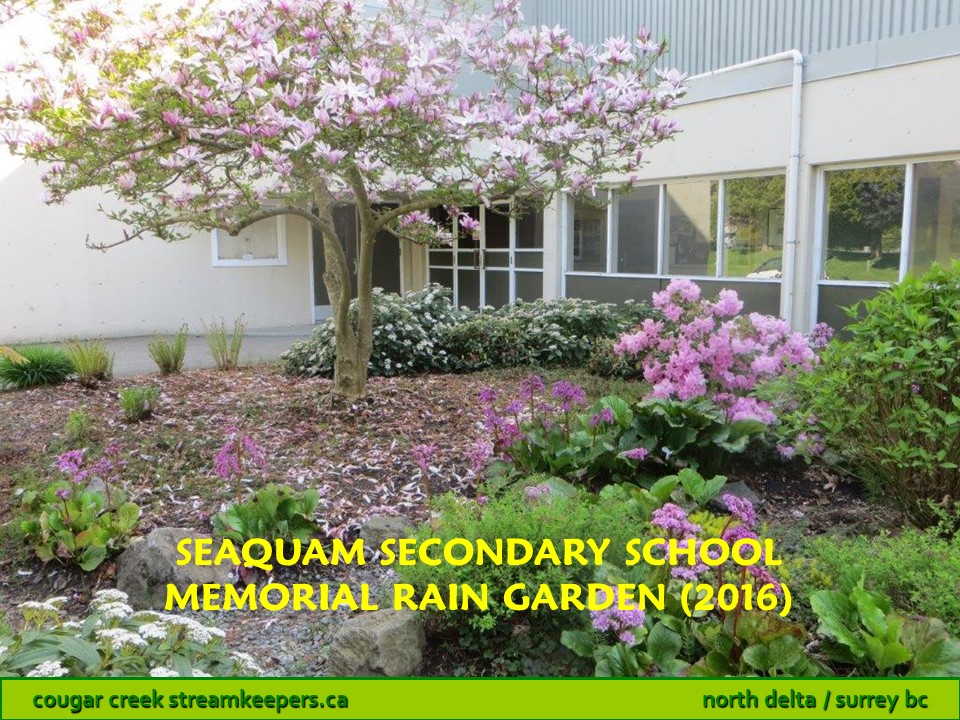 Seaquam Secondary School Memorial Rain Garden