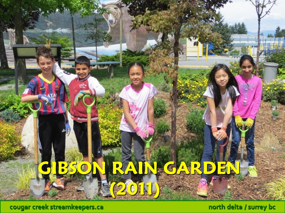 Gibson Rain Garden