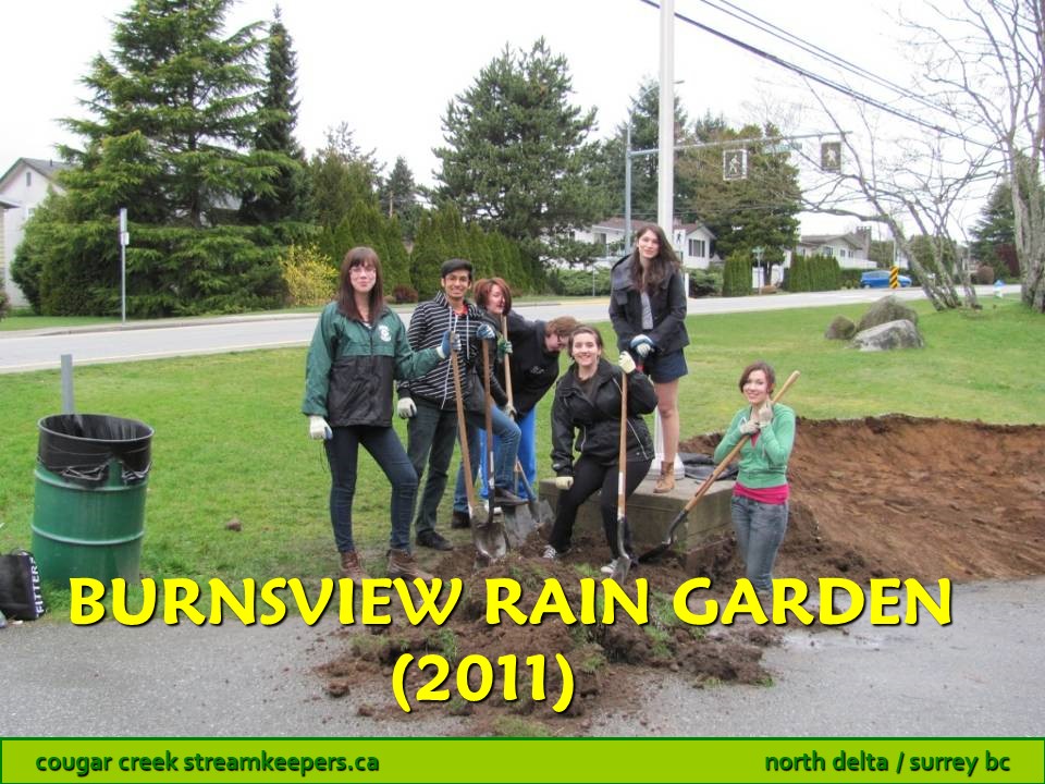 Burnsview Rain Garden